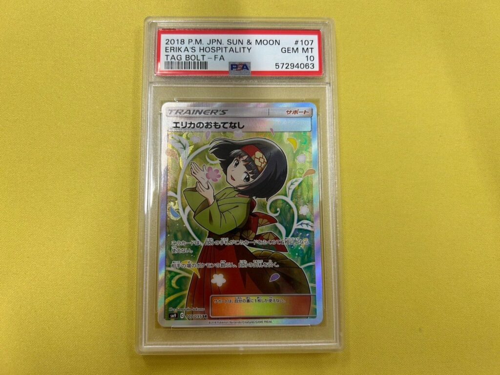 ERIKA'S HOSPITALITY TRAINER SR SM9 107/095