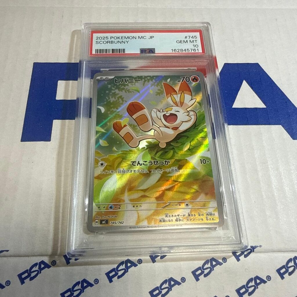 SCORBUNNY MC 745/742