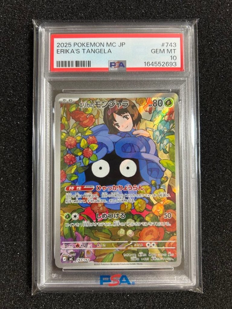ERIKA'S TANGELA MC 743/742